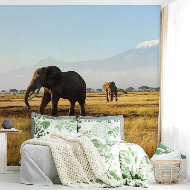 Wallpapers elefant Elephants In Front Of The Kilimanjaro In Kenya