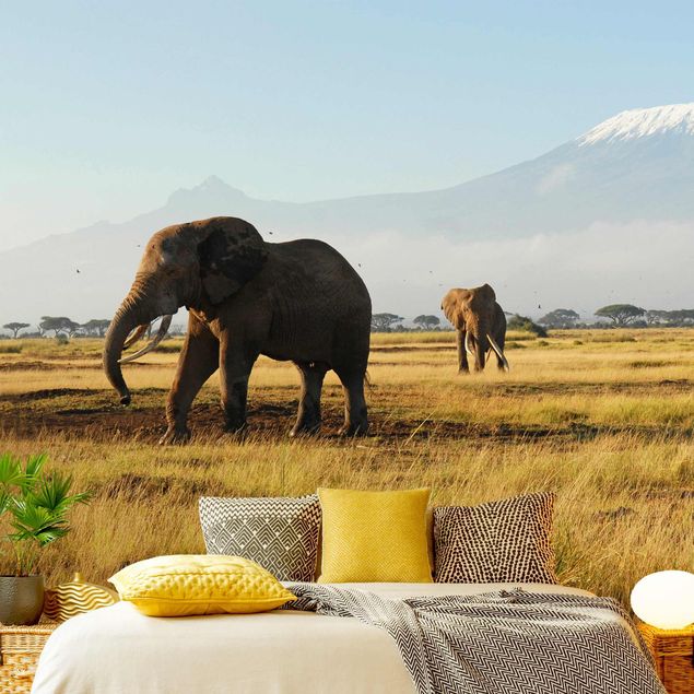 Wallpapers mountain Elephants In Front Of The Kilimanjaro In Kenya