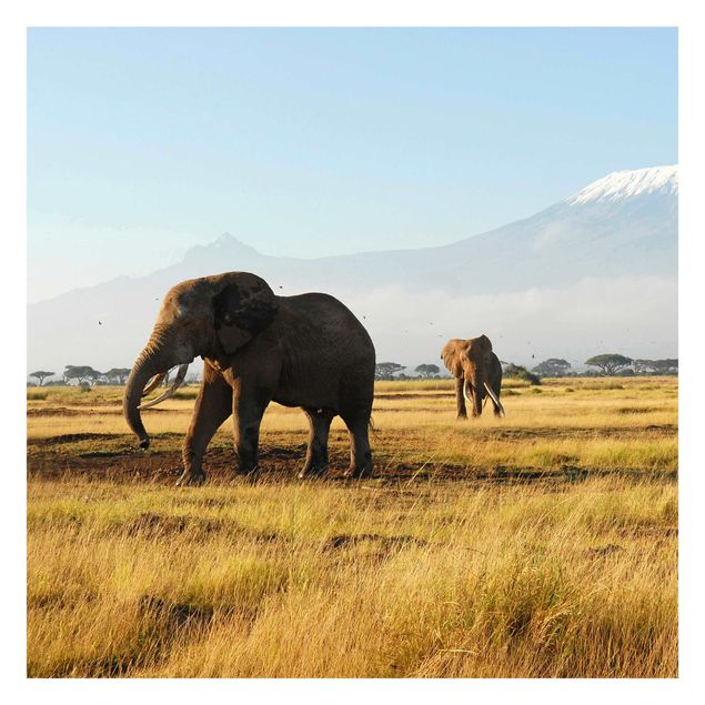 Contemporary wallpaper Elephants In Front Of The Kilimanjaro In Kenya
