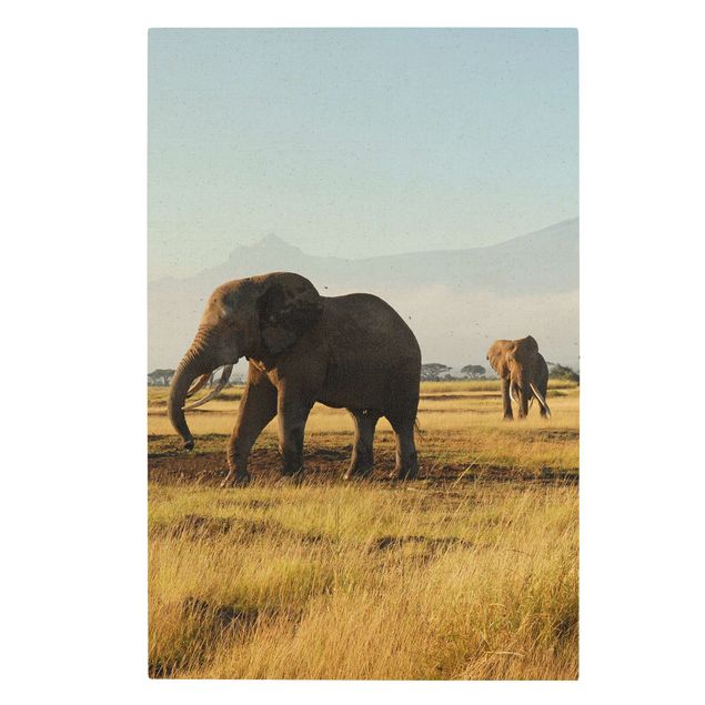 Mountain prints Elephants In Front Of Kilimanjaro In Kenya