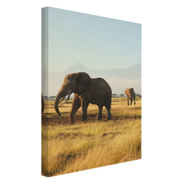 African canvas Elephants In Front Of Kilimanjaro In Kenya