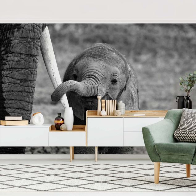 Wallpapers elefant Baby Elephant