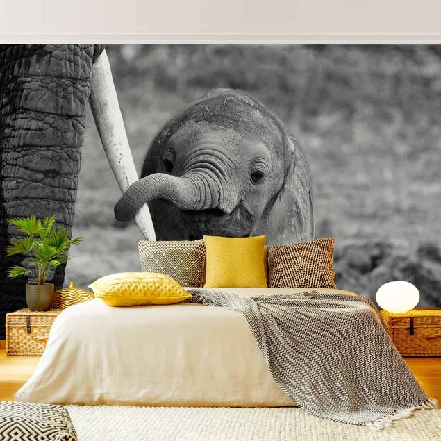 Wallpapers black and white Baby Elephant