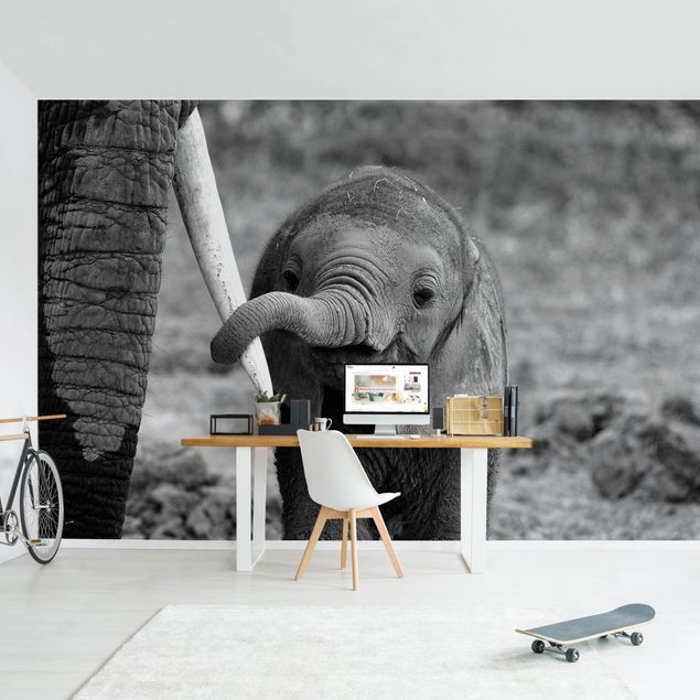 Wallpapers animals Baby Elephant