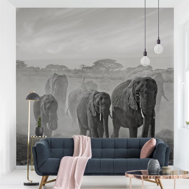 Wallpapers elefant Herd Of Elephants