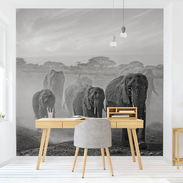 Africa wallpaper Herd Of Elephants