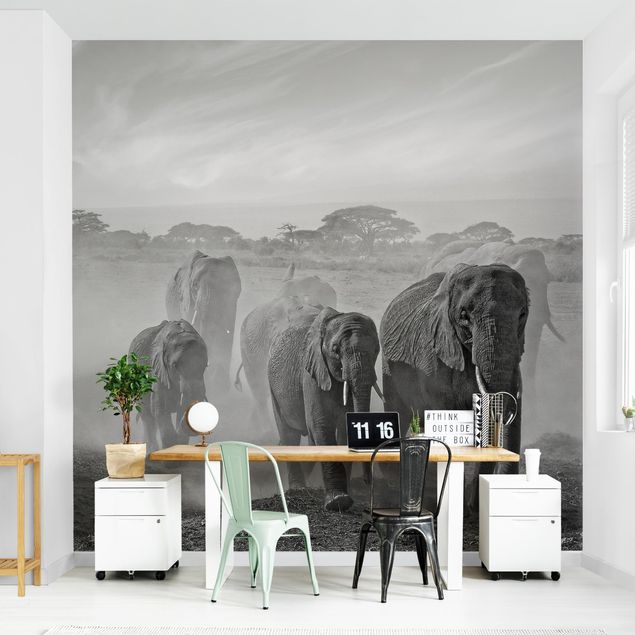 Wallpapers black and white Herd Of Elephants