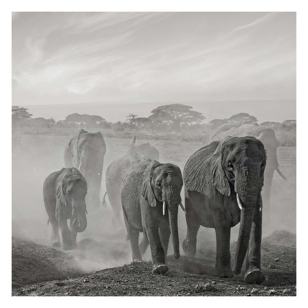 Wallpapers modern Herd Of Elephants