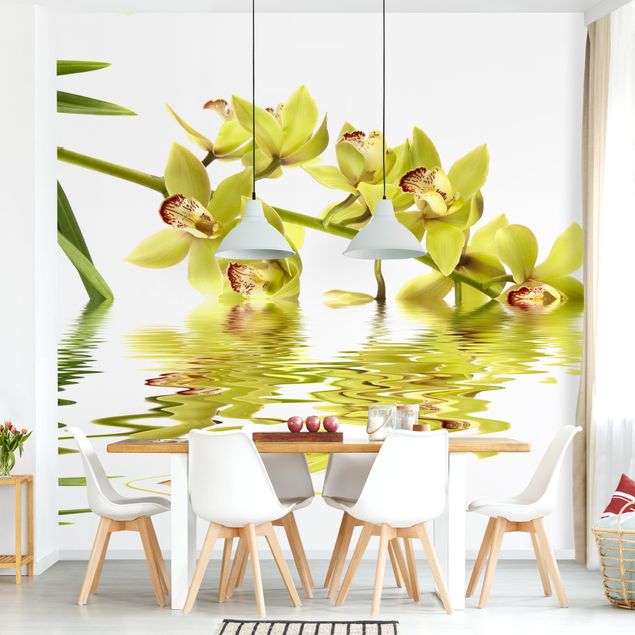 Wallpapers orchid Elegant Orchid Waters