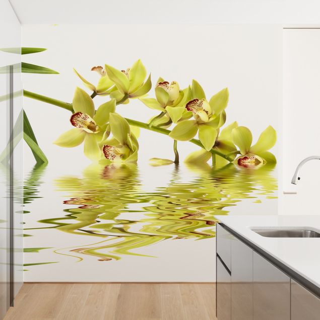 Wallpapers flower Elegant Orchid Waters