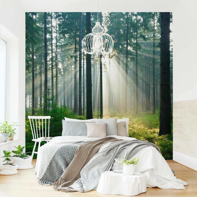 Wallpapers modern Enlightened Forest