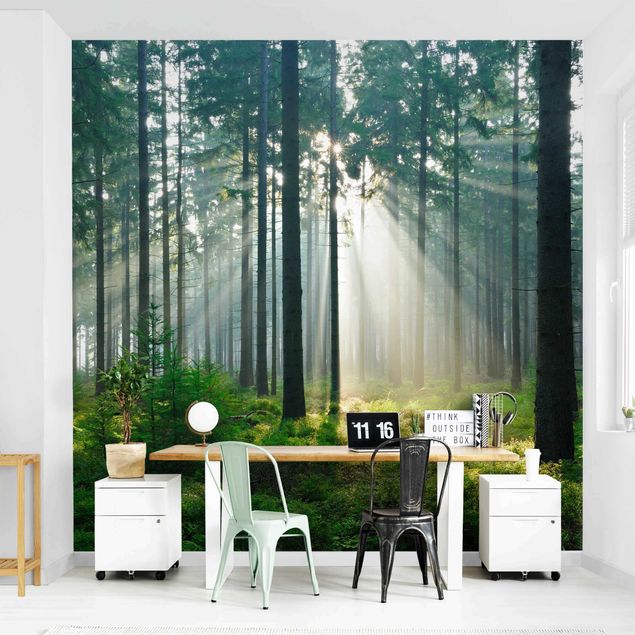 Wallpapers landscape Enlightened Forest