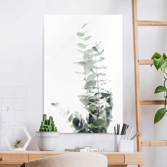 Kitchen Eucalyptus In White Light