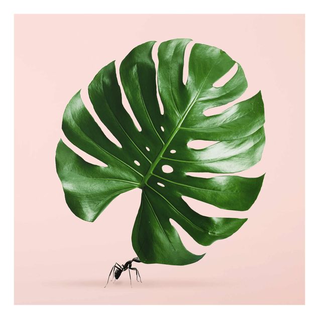 Floral prints Ant With Monstera Leaf