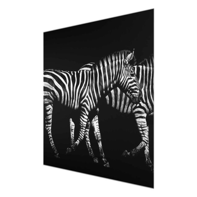 Black and white art Zebra In The Dark