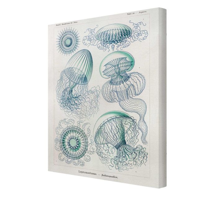 Prints Vintage Board Jellyfish In Blue