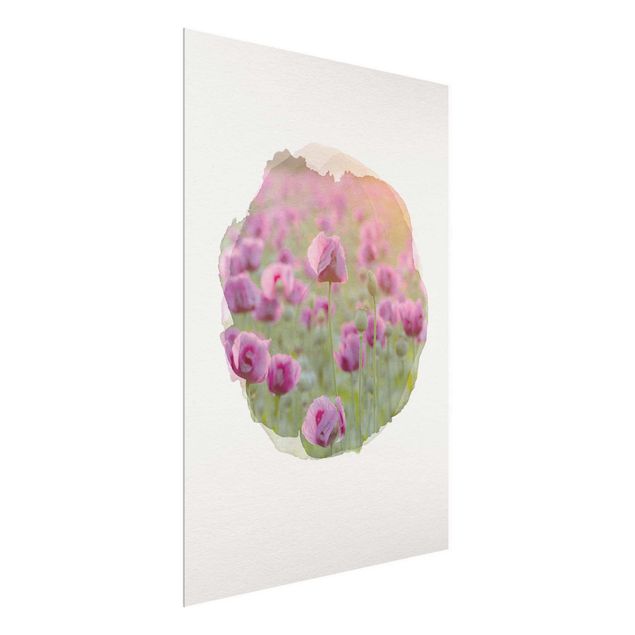 Poppy print WaterColours - Violet Poppy Flowers Meadow In Spring