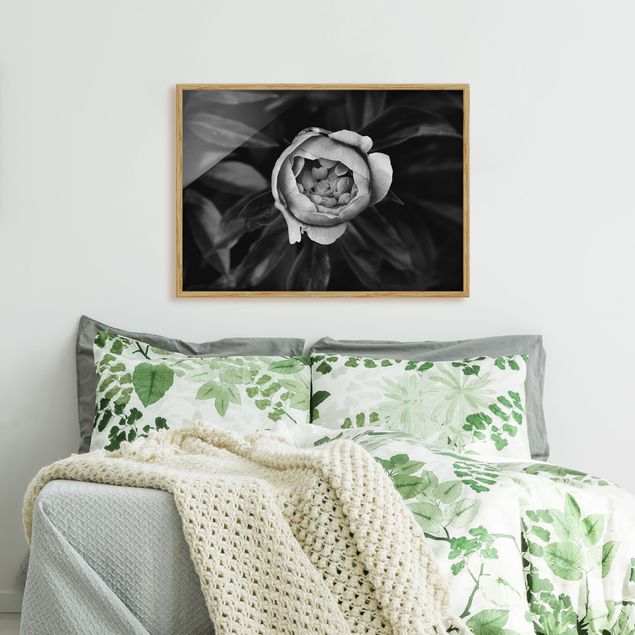 Prints floral Peonies In Front Of Leaves Black And White