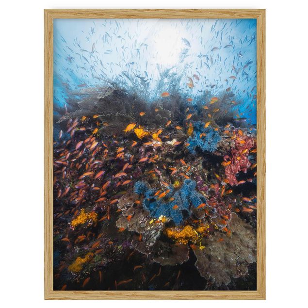 Modern art prints Lagoon With Fish