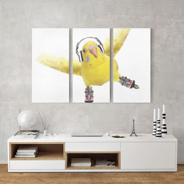 Animal wall art Skate Parakeet