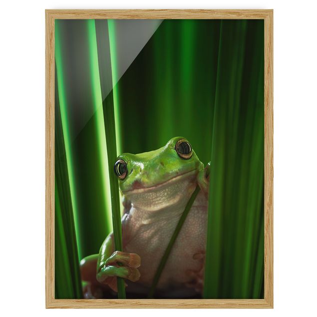 Prints modern Merry Frog
