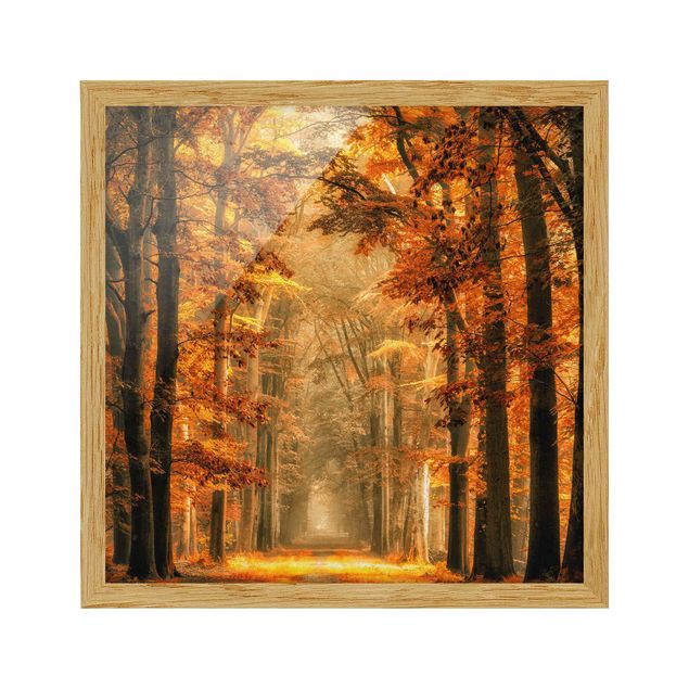 Modern art prints Enchanted Forest In Autumn