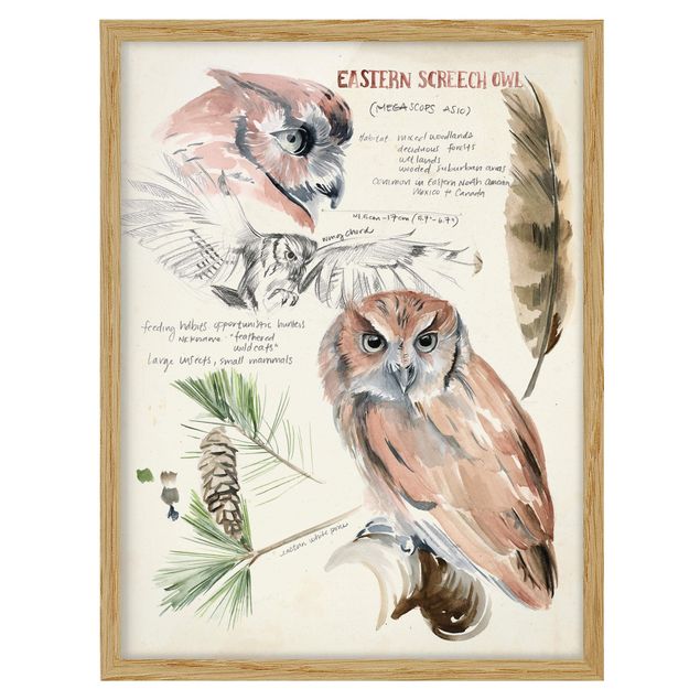 Prints floral Wilderness Journal - Owl