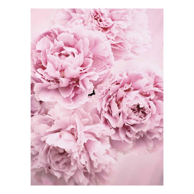 Flower print Pink Peonies