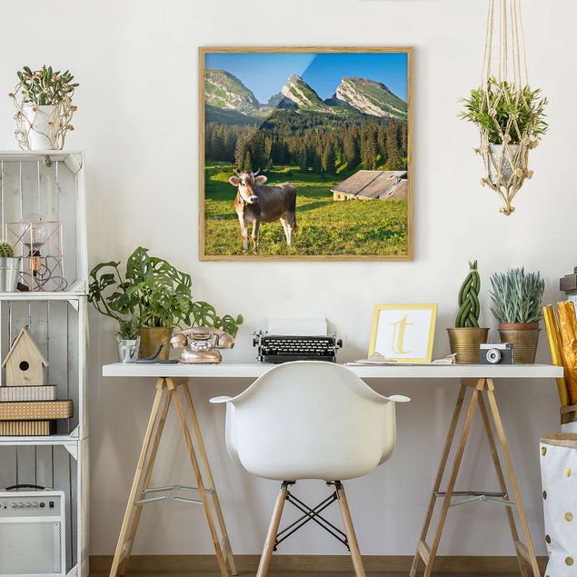 Mountain prints Swiss Alpine Meadow With Cow