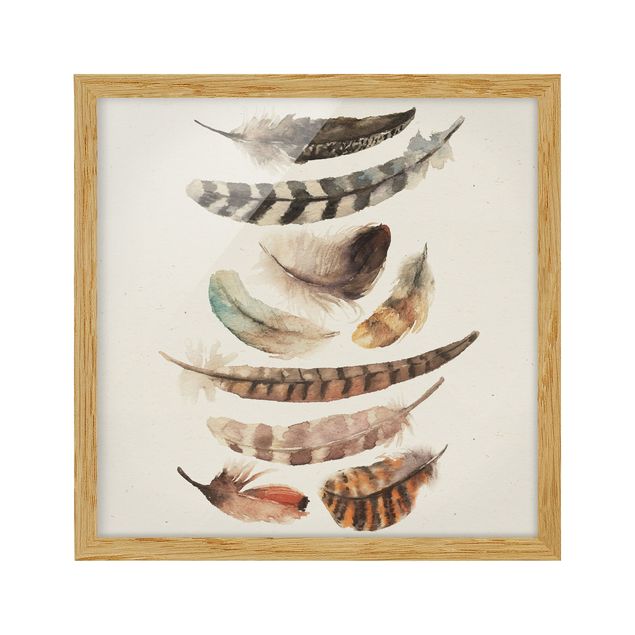 Shabby chic framed pictures Nine Feathers