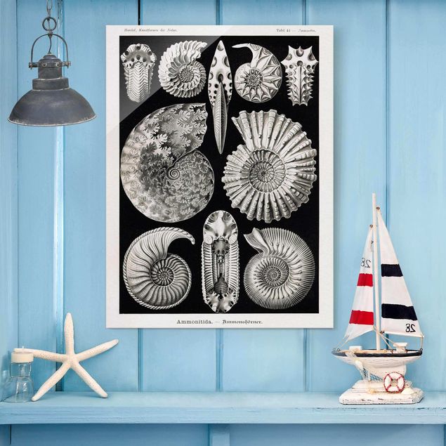Glass prints black and white Vintage Board Fossils Black And White