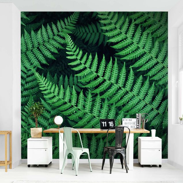 Wallpapers green Fern