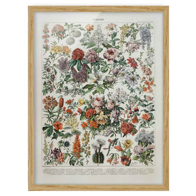 Floral prints Vintage Board Flowers II