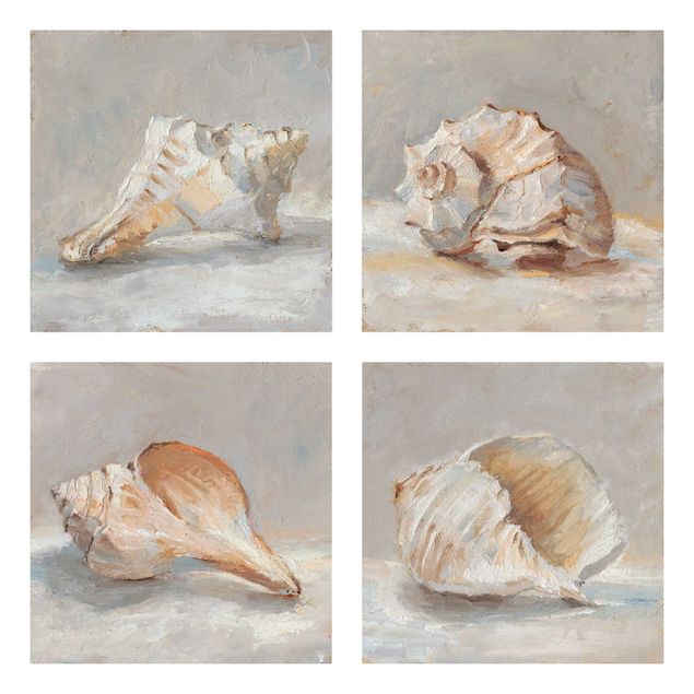 Canvas prints animals Shell Study Set II