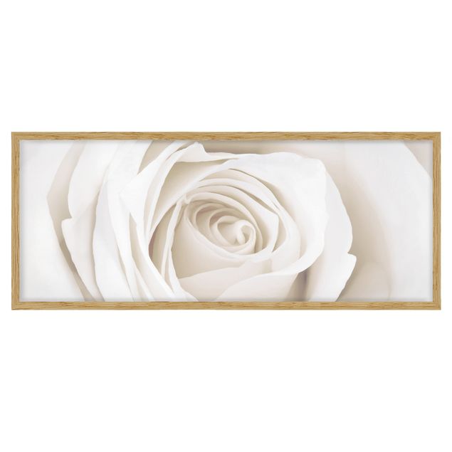 Flowers framed Pretty White Rose
