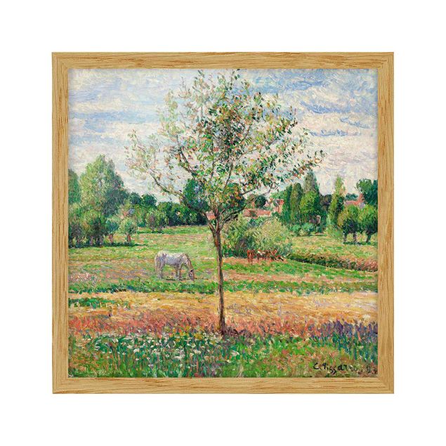 Post impressionism art Camille Pissarro - Meadow with Grey Horse, Eragny
