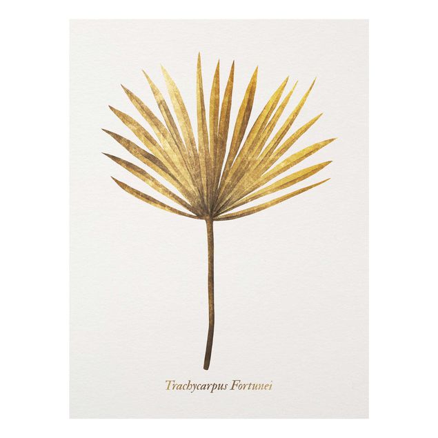 Prints floral Gold - Palm Leaf