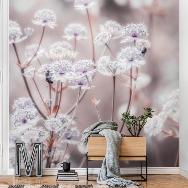 Modern wallpaper designs Wild Flowers Light As A Feather