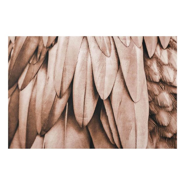 Prints brown Feathers In Rosegold