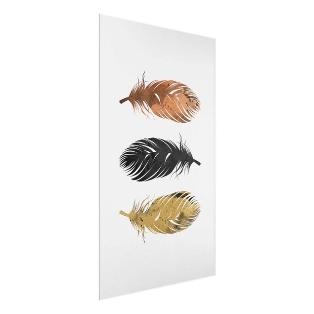 Feather poster Feathers