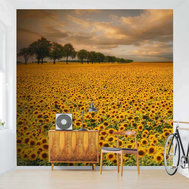 Floral wallpaper Field With Sunflowers