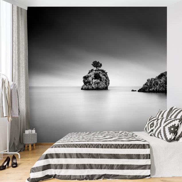 Wallpapers modern Rocky Island In The Sea Black And White