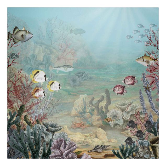 Beach canvas art View from afar in the coral reef