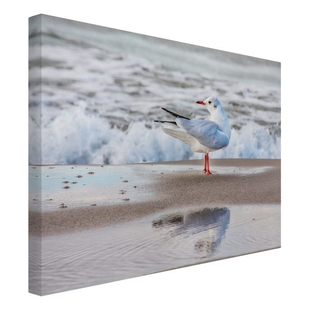 Bird canvas wall art Seagull On The Beach In Front Of The Sea