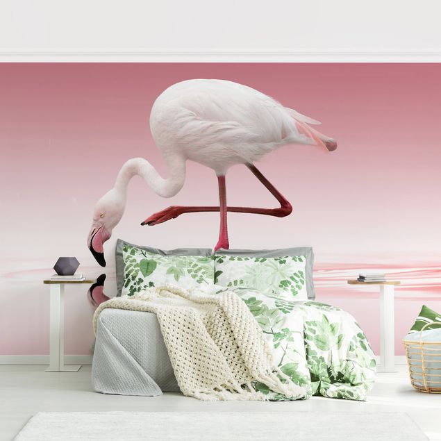 Wallpapers flamingo Flamingo Dance