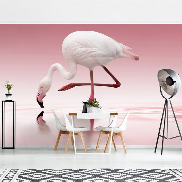 Wallpapers animals Flamingo Dance