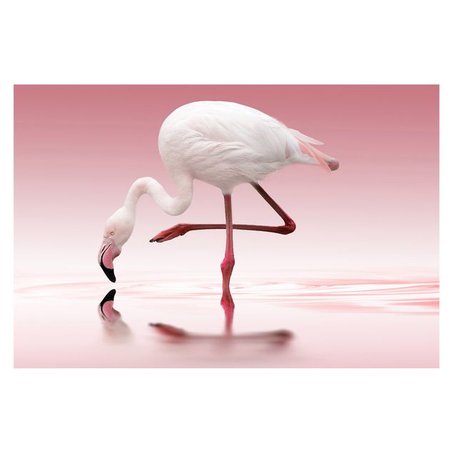 Aesthetic pink wallpaper Flamingo Dance