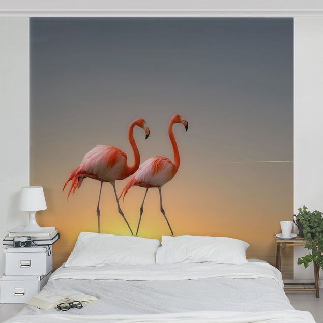 Wallpapers flamingo Flamingo Love