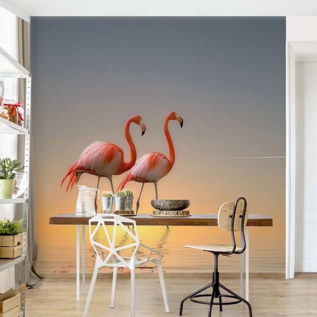 Wallpapers birds Flamingo Love