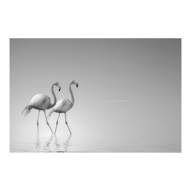 Modern wallpaper designs Flamingo Love Black And White